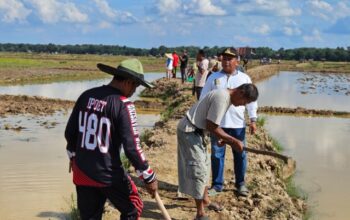 Masyarakat Simandolak Berterimakasih Ke Bupati Suhardiman Atas Pembangunan Jalan Usaha Tani