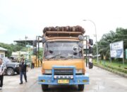 DO Kemuning dan Bakung Harus Dibekukan, PT GSL Harus Dijatuhi Sanksi Tegas