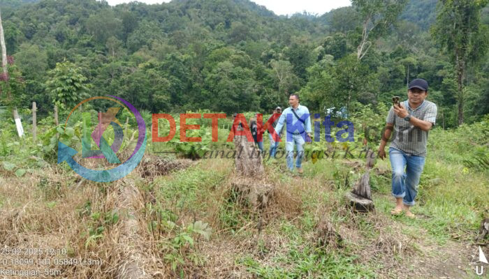 Usai Laporkan Ke Polisi Atas Pengrusakan Tanaman Sawit dan Pagar Kebun, Tarmizi Hadapi Ancaman!