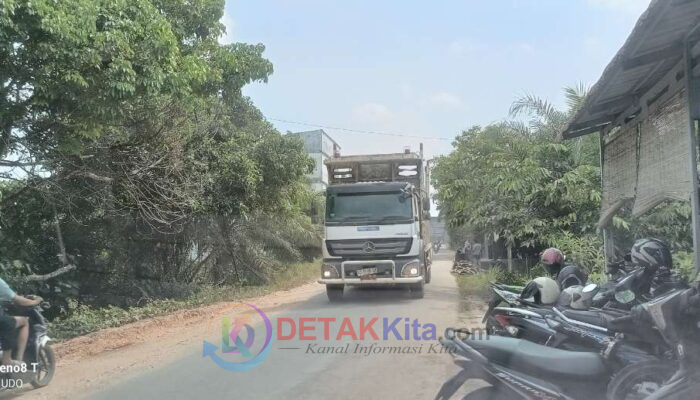 Dasver Librian Vea Soroti Pengerjaan Jalan PT RAPP Rugikan Masyarakat