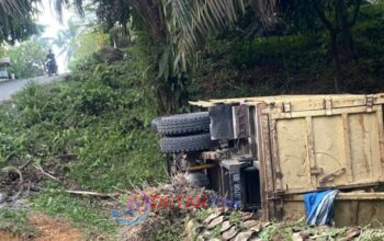 Truk Bermuatan Besi Terjungkal Akibat Tak Kuat Menanjak Koto Teratak