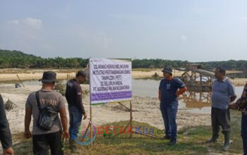 Tim Internal Penanggulangan Kerusakan Lingkungan PT Agrinas Stop PETI di Wilayah HGU