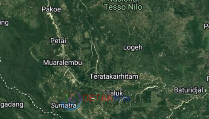 Titik Hotspot di Kuansing Nihil, BPBD Tetap Siaga Antisipasi Karhutla