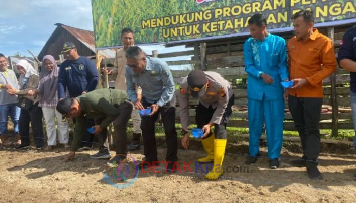 Kolaborasi Desa Simandolak dan Polsek Benai Tanam Jagung Pipil untuk Dukung Swasembada Pangan Nasional 2025