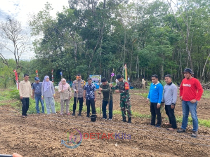 Perdana di KHS, Desa Sungai Sorik Tanam Jagung Pipil Dukung Swasembada Pangan Nasional 2025