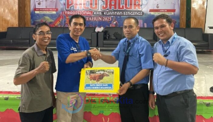 Penerbit Erlangga Sumbang Sapi untuk Hadiah Pacu Jalur Kuansing 2025