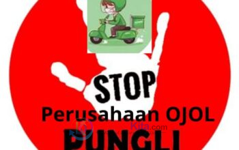 Prof. Sutan Nasomal Desak Presiden Prabowo Turun Tangan Atasi Polemik Ojol