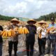Panen Raya Jagung Pipil di Kuansing: Desa Sungai Sirih Buktikan Bisa Jadi Pusat Ketahanan Pangan Nasional!