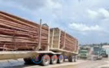 Jangan Korbankan Rakyat! Bupati Kuansing Ancam Tutup Akses Jalan untuk PT. RAPP