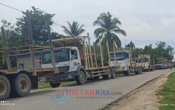 Bupati Suhardiman Ultimatum RAPP: 14 Hari Atur Angkutan, Jika Tidak Jalan Ditutup!