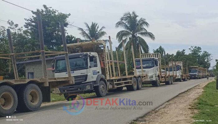 Bupati Suhardiman Ultimatum RAPP: 14 Hari Atur Angkutan, Jika Tidak Jalan Ditutup!