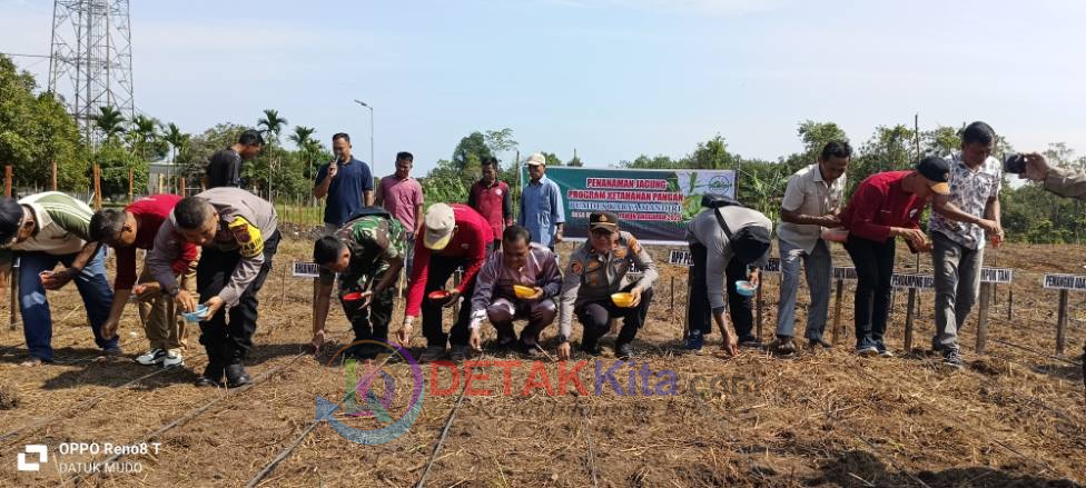 Dari Benai Kecil untuk Negeri: Polisi dan Desa Bergandeng Tangan Tanam Jagung Demi Ketahanan Pangan