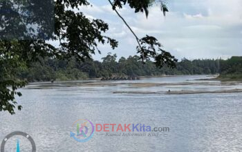 Puluhan Rakit PETI Bebas Beroperasi di Sungai Kuantan Cerenti, Warga Pertanyakan Kinerja Aparat