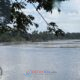 Puluhan Rakit PETI Bebas Beroperasi di Sungai Kuantan Cerenti, Warga Pertanyakan Kinerja Aparat