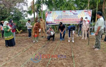 Dukung Ketahanan Pangan Nasional, Kapolsek—Camat Benai Serentak Tanam Jagung Pipil di Ujung Tanjung