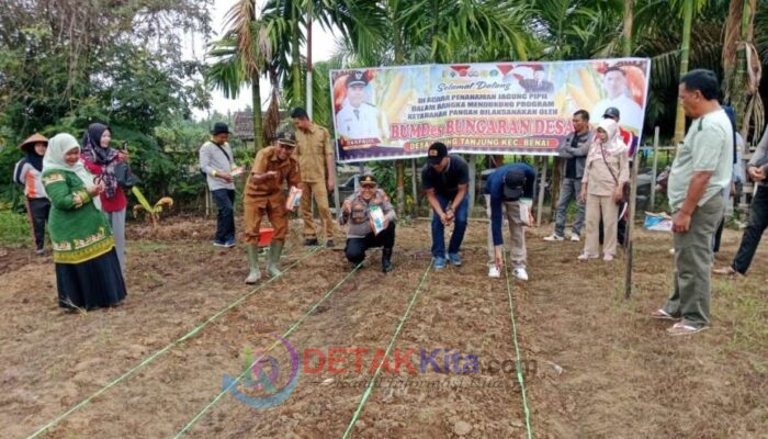 Dukung Ketahanan Pangan Nasional, Kapolsek—Camat Benai Serentak Tanam Jagung Pipil di Ujung Tanjung