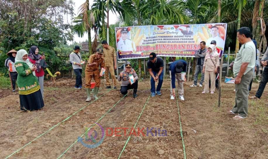 Dukung Ketahanan Pangan Nasional, Kapolsek—Camat Benai Serentak Tanam Jagung Pipil di Ujung Tanjung