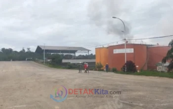 PKS PT. GSL Tetap Bandel! Bupati Suhardiman Geram: Akan Kita Pidanakan!