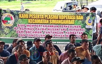 Aset Plasma 47 Ribu Hektare Terancam, Ketua Koperasi BAN Teriak Siaga: Jangan Biarkan Dirampas!