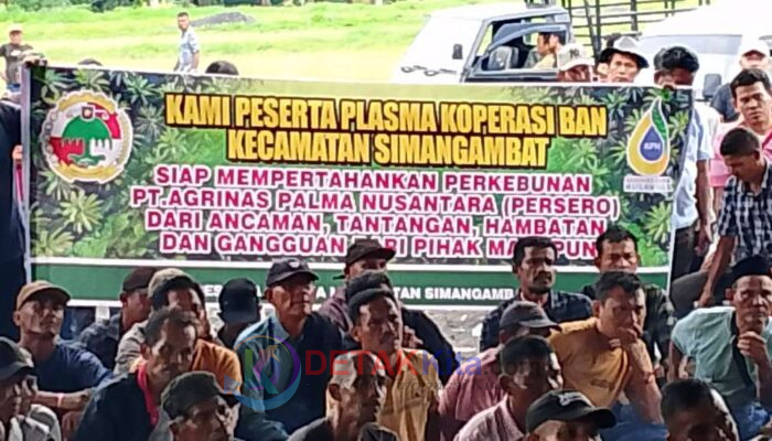 Aset Plasma 47 Ribu Hektare Terancam, Ketua Koperasi BAN Teriak Siaga: Jangan Biarkan Dirampas!