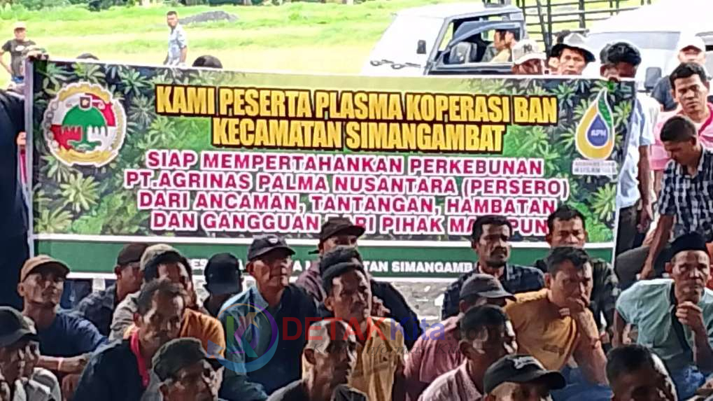 Aset Plasma 47 Ribu Hektare Terancam, Ketua Koperasi BAN Teriak Siaga: Jangan Biarkan Dirampas!
