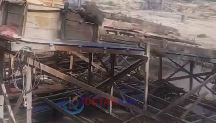 Tomas Murka! PETI di Kebun Pemda Kuansing Harus Disapu Bersih, APH Diminta Bertindak Cepat