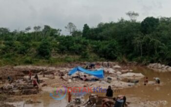 Dugaan Bau Busuk Aparat: PETI Jalan Mulus, Warga Curiga APH Ikut Nikmati Setoran