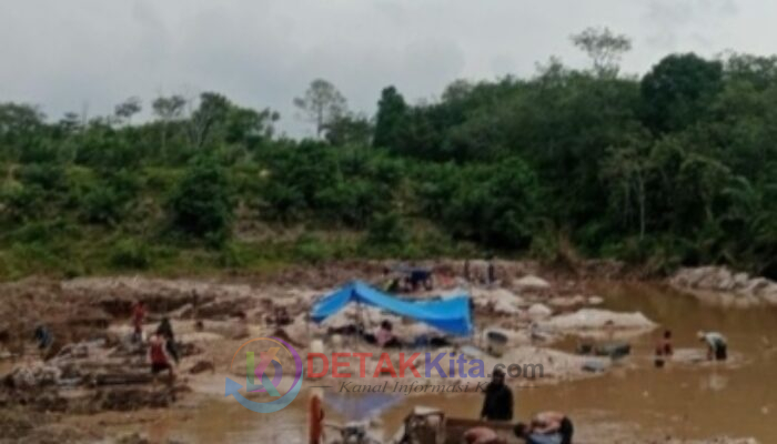 Dugaan Bau Busuk Aparat: PETI Jalan Mulus, Warga Curiga APH Ikut Nikmati Setoran