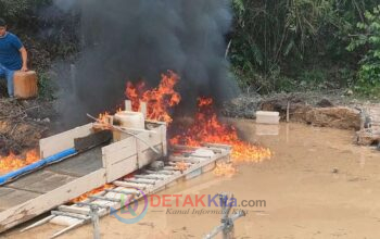 PETI Setingkai di Dusun Jirak Kembali Menggila! Warga: Hukum Dipermainkan, APH Polsek Benai Seolah Tak Bertaji