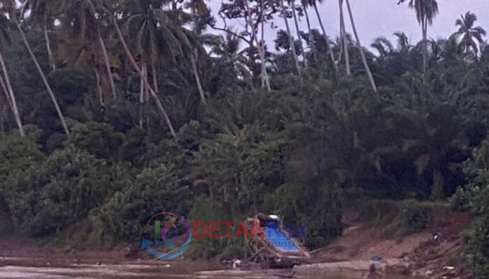 PETI Menggila di Batang Kuantan! Belasan Rakit Bebas Beroperasi di Wilkum Polsek Cerenti, APH “Tumpul”?