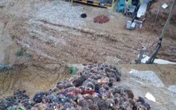 DIBANTAH TEGAS! Kades Dusun Tuo Itarto Haryono Klarifikasi Isu RAMP KITA: Saya Bukan Pemilik, Jangan Seret Nama Saya! DIBANTAH TEGAS! Kades Dusun Tuo Itarto Haryono Klarifikasi Isu RAMP KITA: Saya Bukan Pemilik, Jangan Seret Nama Saya!