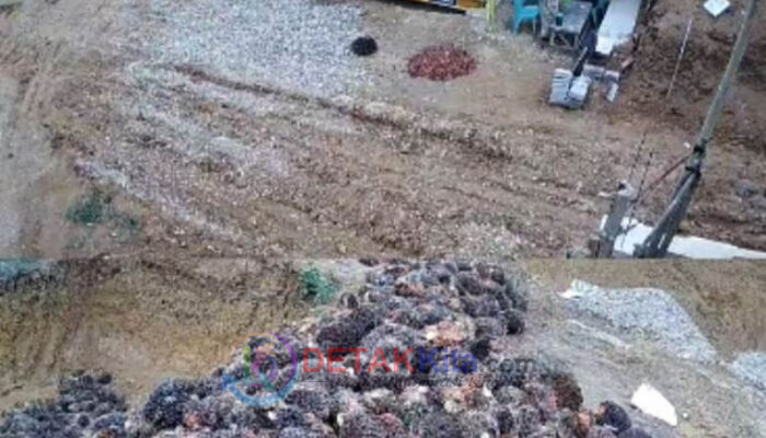 DIBANTAH TEGAS! Kades Dusun Tuo Itarto Haryono Klarifikasi Isu RAMP KITA: Saya Bukan Pemilik, Jangan Seret Nama Saya!