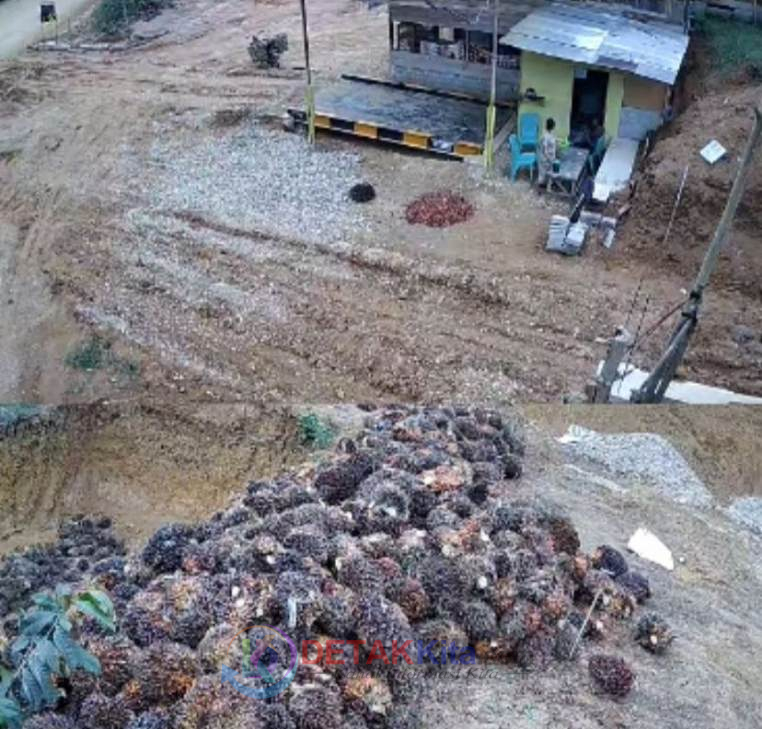 DIBANTAH TEGAS! Kades Dusun Tuo Itarto Haryono Klarifikasi Isu RAMP KITA: Saya Bukan Pemilik, Jangan Seret Nama Saya!