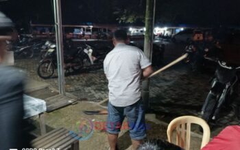 TURUN DARI PLAFON SAAT NIKMATI KOPI! Ular Cincin Emas Gegerkan Warkop Jangguik Baserah—Damkar Tak Kunjung Datang
