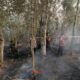 Lahan 1 Hektare di Kuantan Hilir Terbakar! Tim Satpol PP PKP Kuansing—TNI dan Warga Bergerak Cepat Jinakkan Api