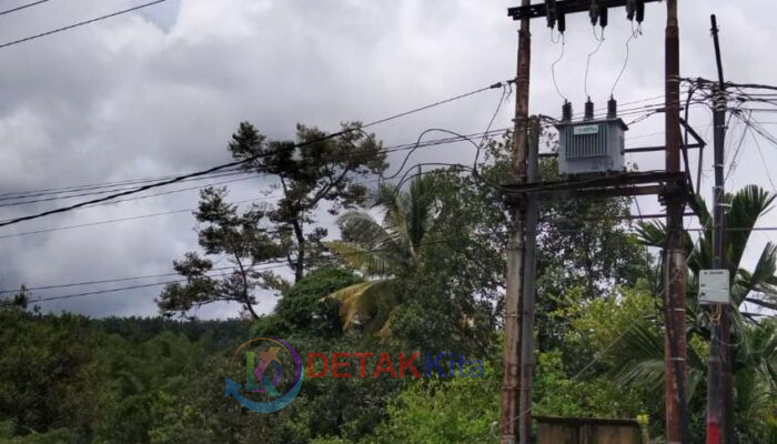 Kabel Listrik Putus Diseret Truk! Lintas Teluk Kuantan–Pekanbaru Lumpuh Total — Kendaraan Mengular Panjang di Logas