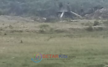 Teror PETI di Benai! “Raja-Raja Dompeng” Kuasai Alam—Lingkungan Diluluhlantakkan—Hukum Seakan Tak Bernyawa!