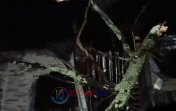 Tengah Malam Mencekam di Benai! Rumah Warga Hancur Ditimpa Batang Kapuk — Sebagian Luluh Lantak