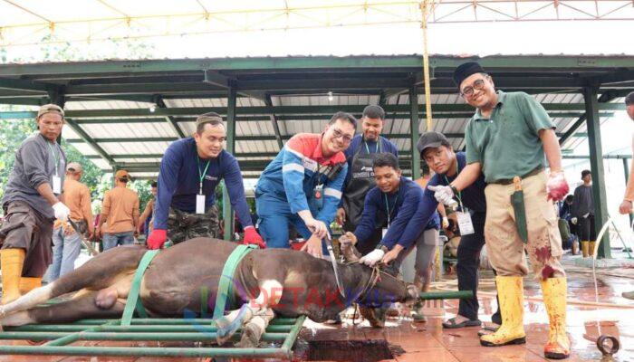 Pertamina Kilang Dumai Tebar 100 Hewan Kurban—Warga Ring 1 Hingga Peternak Lokal Ikut Rasakan Manfaat