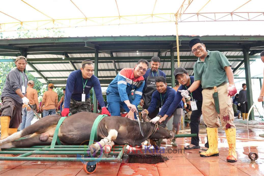 Pertamina Kilang Dumai Tebar 100 Hewan Kurban—Warga Ring 1 Hingga Peternak Lokal Ikut Rasakan Manfaat