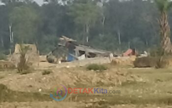 PETI Benai Makin Brutal! Nama Pelaku Sudah Terbongkar—APH Bungkam — Warga Kecewa: “Hukum Seperti Mati!”