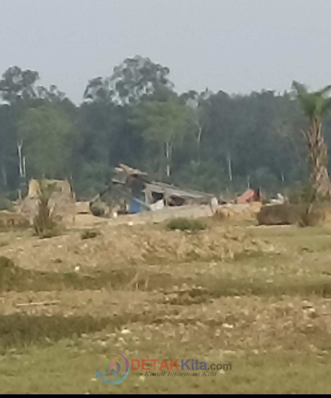 PETI Benai Makin Brutal! Nama Pelaku Sudah Terbongkar—APH Bungkam — Warga Kecewa: “Hukum Seperti Mati!”