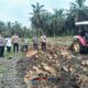 Polisi dan PT AA Turun Langsung ke Kebun! Lahan 5 Hektare Dibuka di Singingi Hilir — Warga Sebut Jadi Contoh Positif untuk Perusahaan Lain di Kuansing