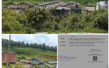 Prof Sutan Nasomal Desak TNI-Polri Sikat Perusahaan Nakal di Aceh Singkil: Kalau Sudah Dicabut—Jangan Dibiarkan Tetap Beroperasi!