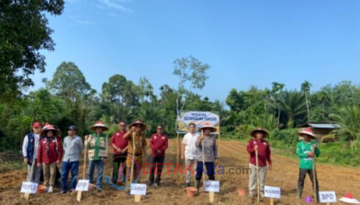 Dukung ASTA CITA Presiden—Kampung Madura Jadi Kampung Percontohan Jagung Pipil di Kuantan Hilir