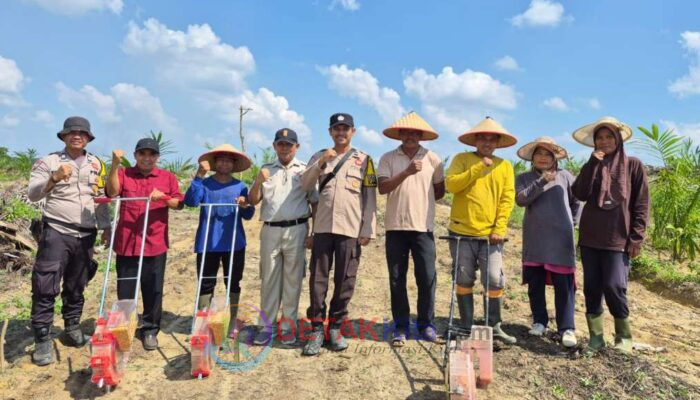 PT AA Tancap Gas! Lahan Jagung di Singingi Hilir Meluas Jadi 16 Hektar—Dukung Swasembada Pangan Nasional