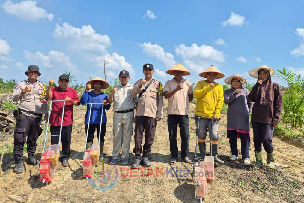 PT AA Tancap Gas! Lahan Jagung di Singingi Hilir Meluas Jadi 16 Hektar—Dukung Swasembada Pangan Nasional