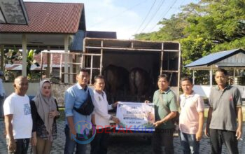 PT SBL Tebar Berkah Idul Adha! 3 Ekor Sapi Qurban Disalurkan untuk Karyawan dan Masyarakat