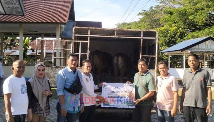 PT SBL Tebar Berkah Idul Adha! 3 Ekor Sapi Qurban Disalurkan untuk Karyawan dan Masyarakat
