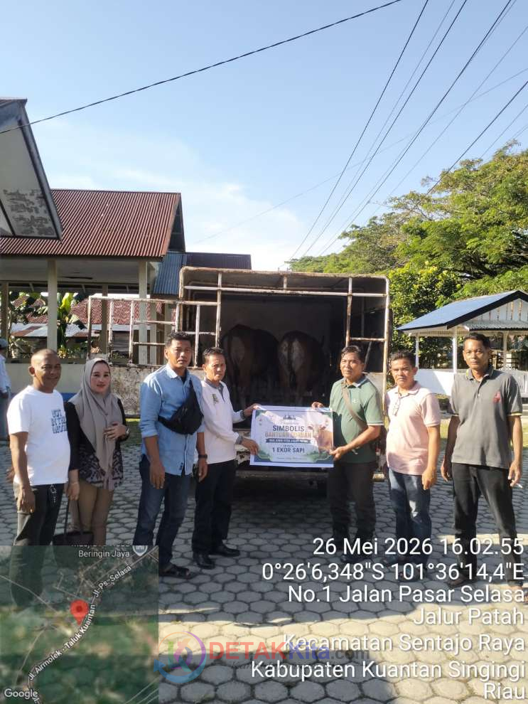 PT SBL Tebar Berkah Idul Adha! 3 Ekor Sapi Qurban Disalurkan untuk Karyawan dan Masyarakat